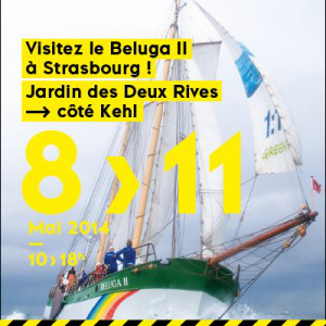 beluga_2